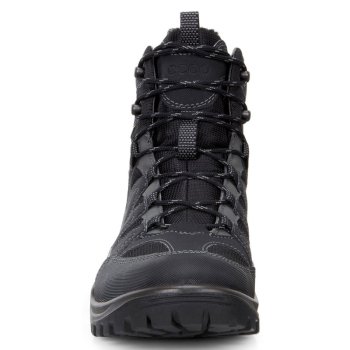 Men's ecco xpedition iii cheap torre gtx