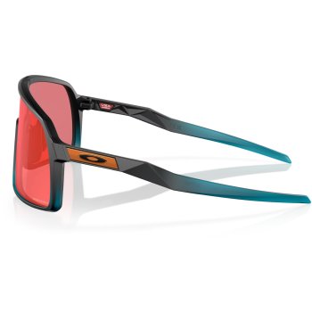 sutro-community-collection- sutro-community-collection-