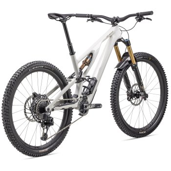 stumpjumper evo pro 29 weight