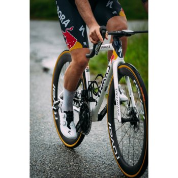 Sportful Red Bull BORA-hansgrohe Classic Bib Short Men
