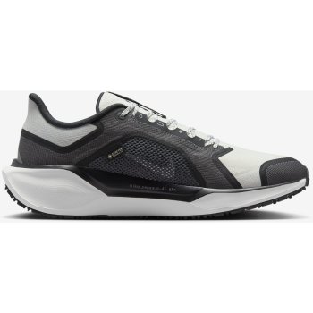 Nike Pegasus 41 GORE-TEX Running Shoes Men - black/summit