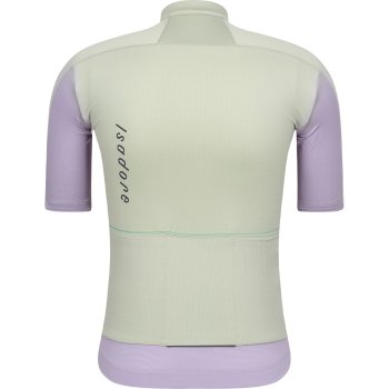 Isadore Signature Merino Tech Jersey Men - Desert Sage | BIKE24