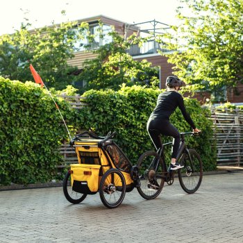 thule chariot 1 kind