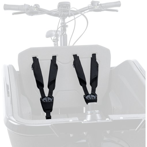 Foto de CUBE CARGO Safety Belt - Negro