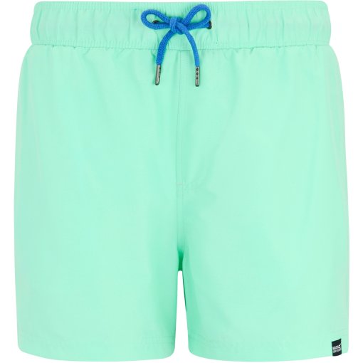Kuva tuotteesta Regatta Mawson II Uimashortsit Miehet - Ice Green/Sonic Blue ZKB