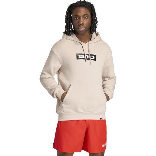 Zdjęcie: Five Ten Logo Sticker Graphic Hoodie Men - Wonder Taupe