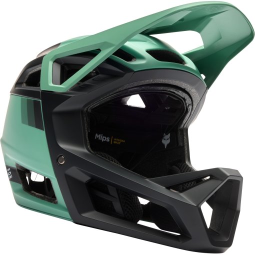 Foto de FOX Casco - Proframe RS Full Face - Sol - pine