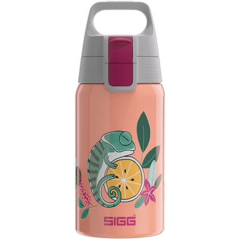 Picture of SIGG Shield ONE Flask 0.5L Kids - Flora
