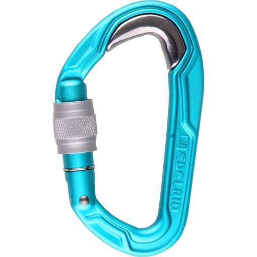 Immagine prodotto da Edelrid Bulletproof Screw II Moschettone - icemint