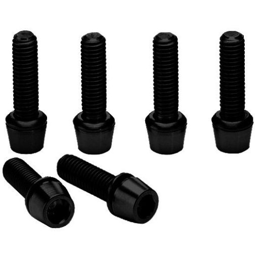 Immagine prodotto da Ritchey Stainless Steel Bolts for WCS C220 - 6 Pieces