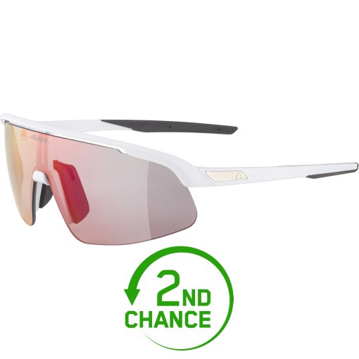 Produktbild von Alpina Turbo Pro S QV Brille - white matt/rainbow mirror - B-Ware