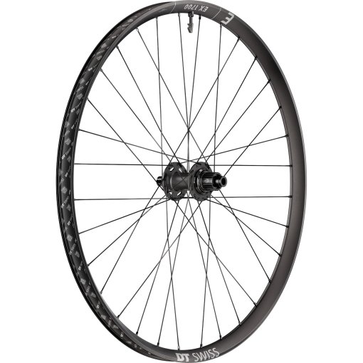Produktbild von DT Swiss EX 1700 CLASSIC Hinterrad - 29&quot; | Centerlock | 12x148 mm Boost - Micro Spline