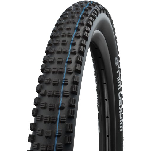 Schwalbe Wicked Will Folding Tire - Evolution | Addix
