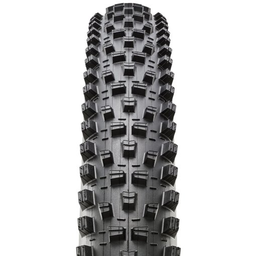 e thirteen trs + maxxis minion dhr Ⅱ e thirteen trs + maxxis minion dhr Ⅱ Minion DHR II – Maxxis Tires