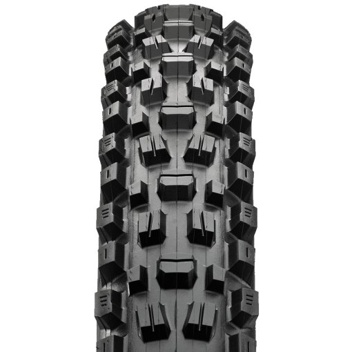Maxxis Assegai Folding Tire - 3C MaxxGrip | DD TR | WT - 29x2.60