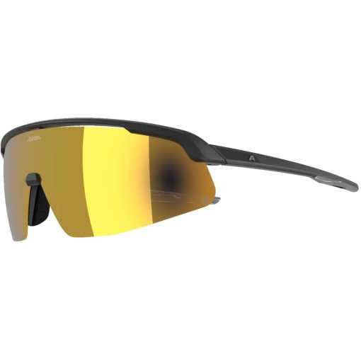 Foto de Alpina Turbo Pro Q Gafas - black matt/gold mirror