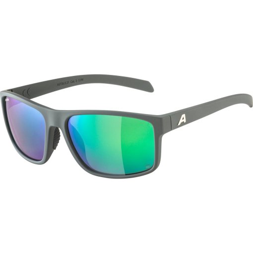 Foto de Alpina Gafas - Nacan I POL - midnight-grey matt/mirror green