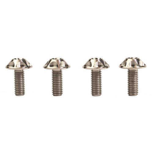 Immagine prodotto da SILCA Viti Portabottiglie in Titanio - M5x12 - 4 Pezzi - argento