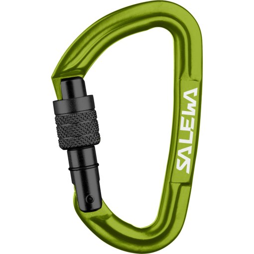 Foto de Salewa Mosquetón - Hot G3 Screw - fluo green 5810
