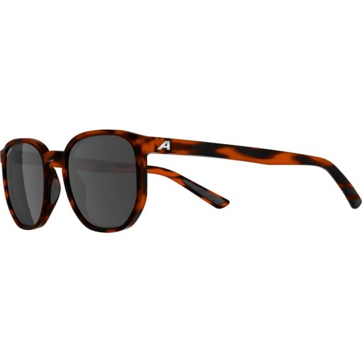 Photo produit de Alpina Dimont Lunettes - havana matt/black