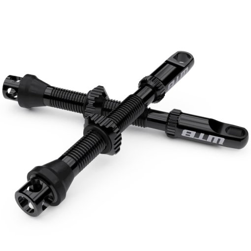 Immagine prodotto da WTB Valvola Tubeless- Max Flow - 44mm - Presta