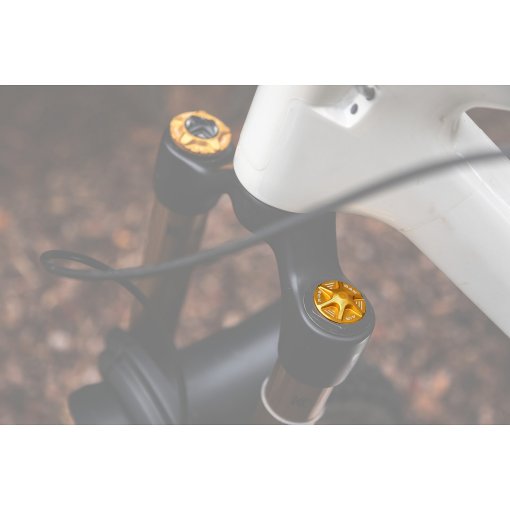 Photo produit de OAK Components Capuchon de valve AIR pour fourches à suspension - or