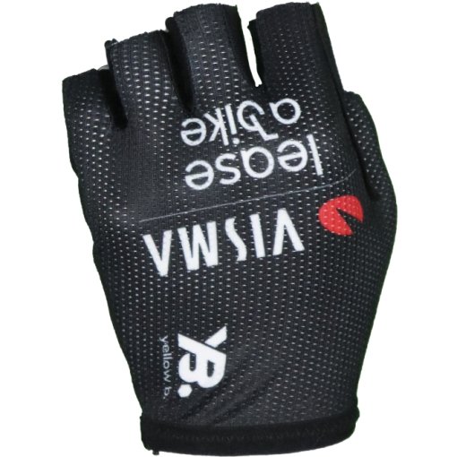 Foto de RAPidGEAR Replica Guantes - Team Visma | Lease a Bike 2025 - negro