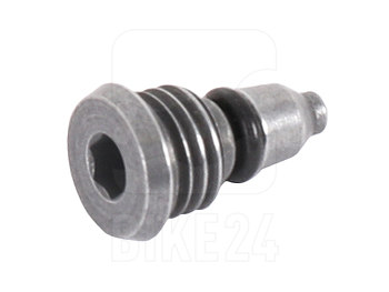 Foto de Campagnolo Bleeding Bolt for Ergopower