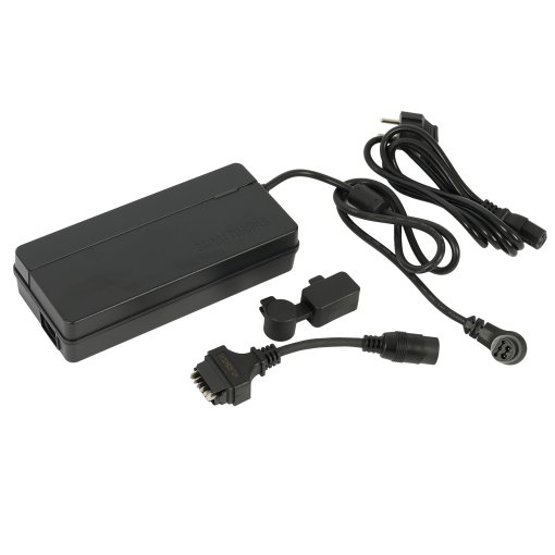 Picture of Giant Smart Charger - 6A - 710000028
