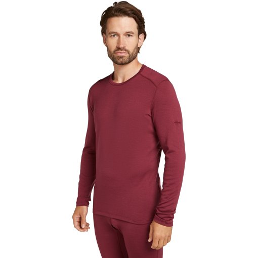 Immagine prodotto da Icebreaker Maglia a Maniche Lunghe Uomo - Merino 260 Tech Crewe - Port