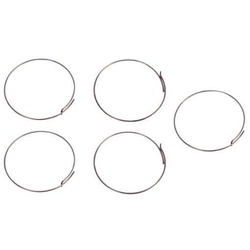 Immagine prodotto da Fulcrum Pawl Spring for Road Freewheels (5 Pcs.) - 5-R1-015