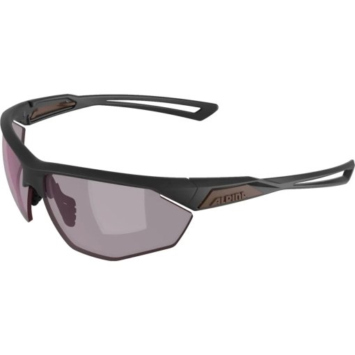 Produktbild von Alpina Nylos HR Brille - gun matt/pink