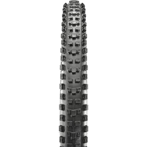 MAXXIS(マキシス) タイヤ ディセクター 29x2.60 3CT/EXO+ Dissector・ MTB | 最高峰のタイヤ品質を誇るマキシス