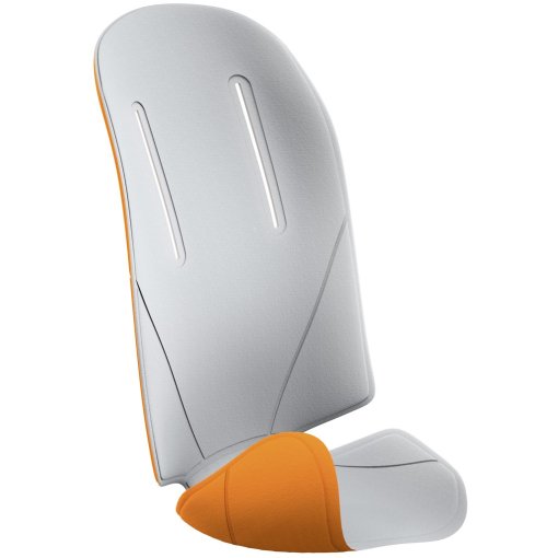 Productfoto van Thule RideAlong Wattering