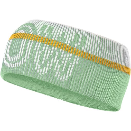 Photo produit de Falke Bandeau - SK - quiet green 7378