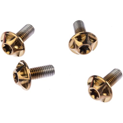 Immagine prodotto da SILCA Viti Portabottiglie in Titanio - M5x12 - 4 Pezzi - bourbon
