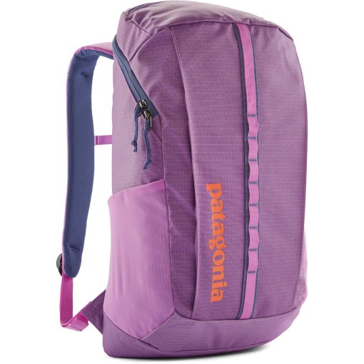 Foto de Patagonia Mochila 25L - Black Hole Pack - Brisk Purple