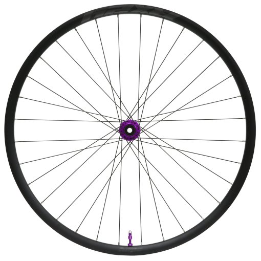 Immagine prodotto da Hope Ruota Anteriore - RX24 - Pro 5 - 28&quot; | Clincher | 24 Fori | Centerlock - 12x100mm - lilla