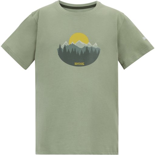 Produktbild von Regatta Bosley T-Shirt Kinder - Light Sage ZYW