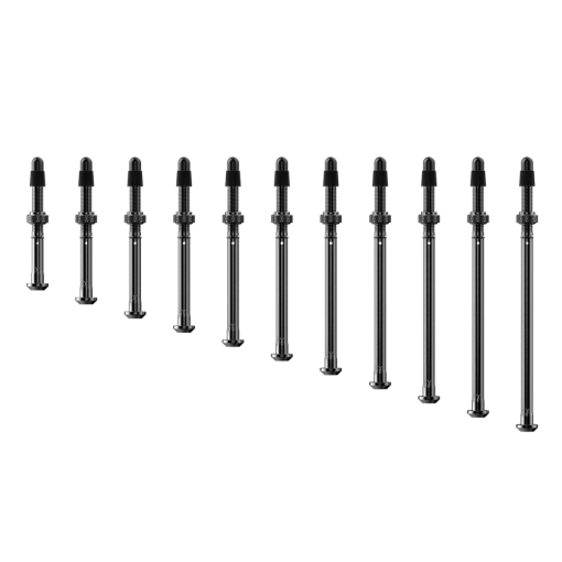 Immagine prodotto da QUARQ Set Valvole Tubeless per TyreWiz 2.0
