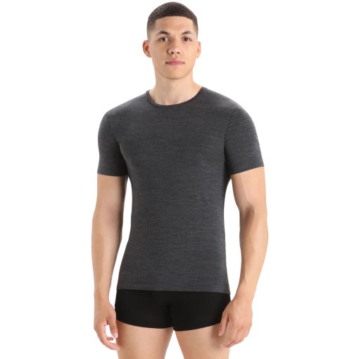 Produktbild von Icebreaker Merino Anatomica T-Shirt Herren - Jet Hthr
