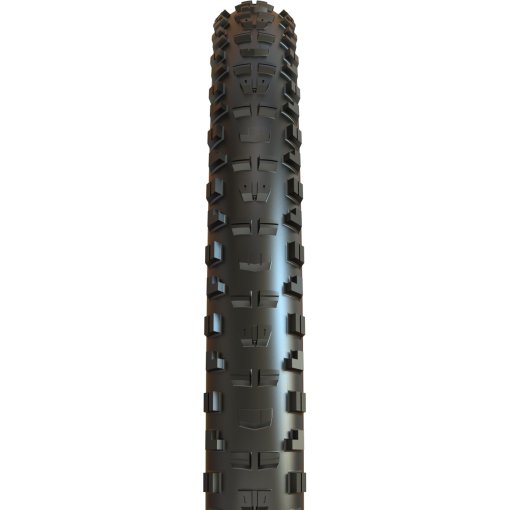 MAXXIS Minion DHR II online kopen | BIKE24