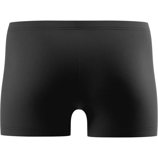 Picture of Speedo Medley Logo Aquashorts Men - anthracite/hyper teal
