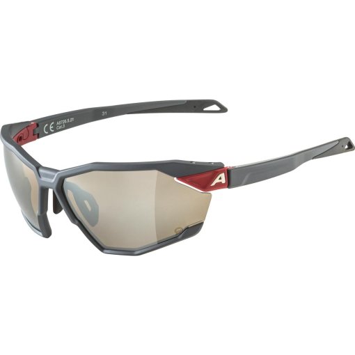 Foto de Alpina Gafas Twist Six Q - midnight-grey matt/mirror silver