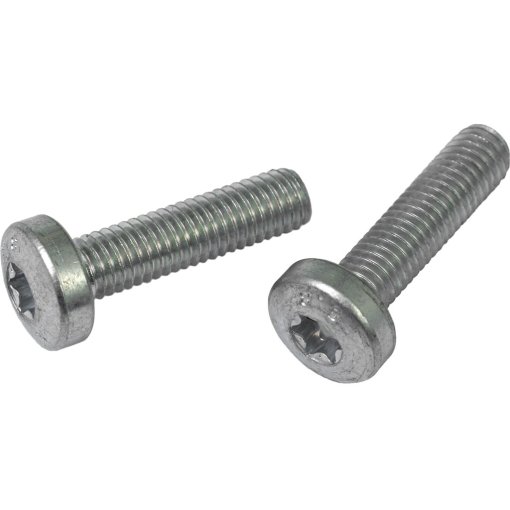 Picture of Bosch M5x20 Screw Set for Frame Mounting Adapter of Cruise/Speed 2011/2012 | Classic+ Line - 1270016433