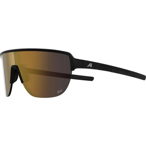Produktbild von Alpina Ram 2.0 Q-Lite Brille - black matt/gold mirror