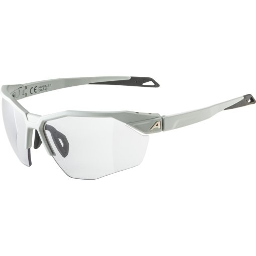 Foto de Alpina Gafas - Twist Six HR V - smoke-grey matt/Varioflex black