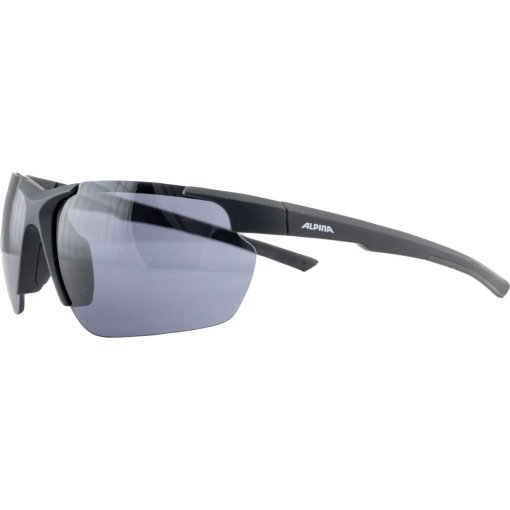 Foto de Alpina Defey HR Gafas - black matt/black