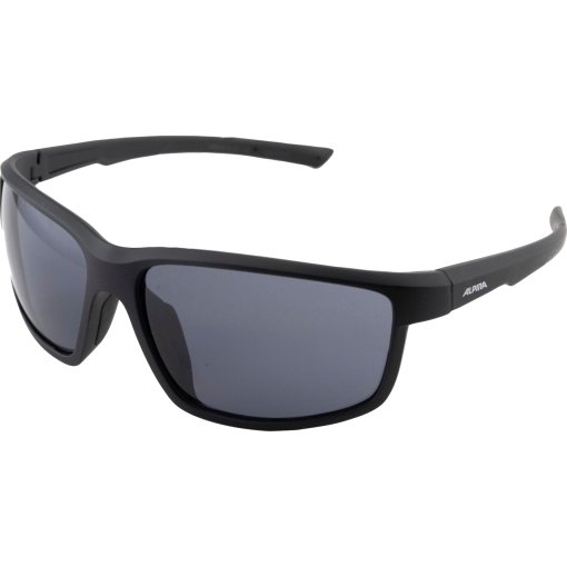 Foto de Alpina Defey Gafas - black matt/black