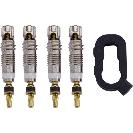 Immagine prodotto da BBB Cycling Nucleo della Valvola per Valvole Tubeless - 4 Pezzi